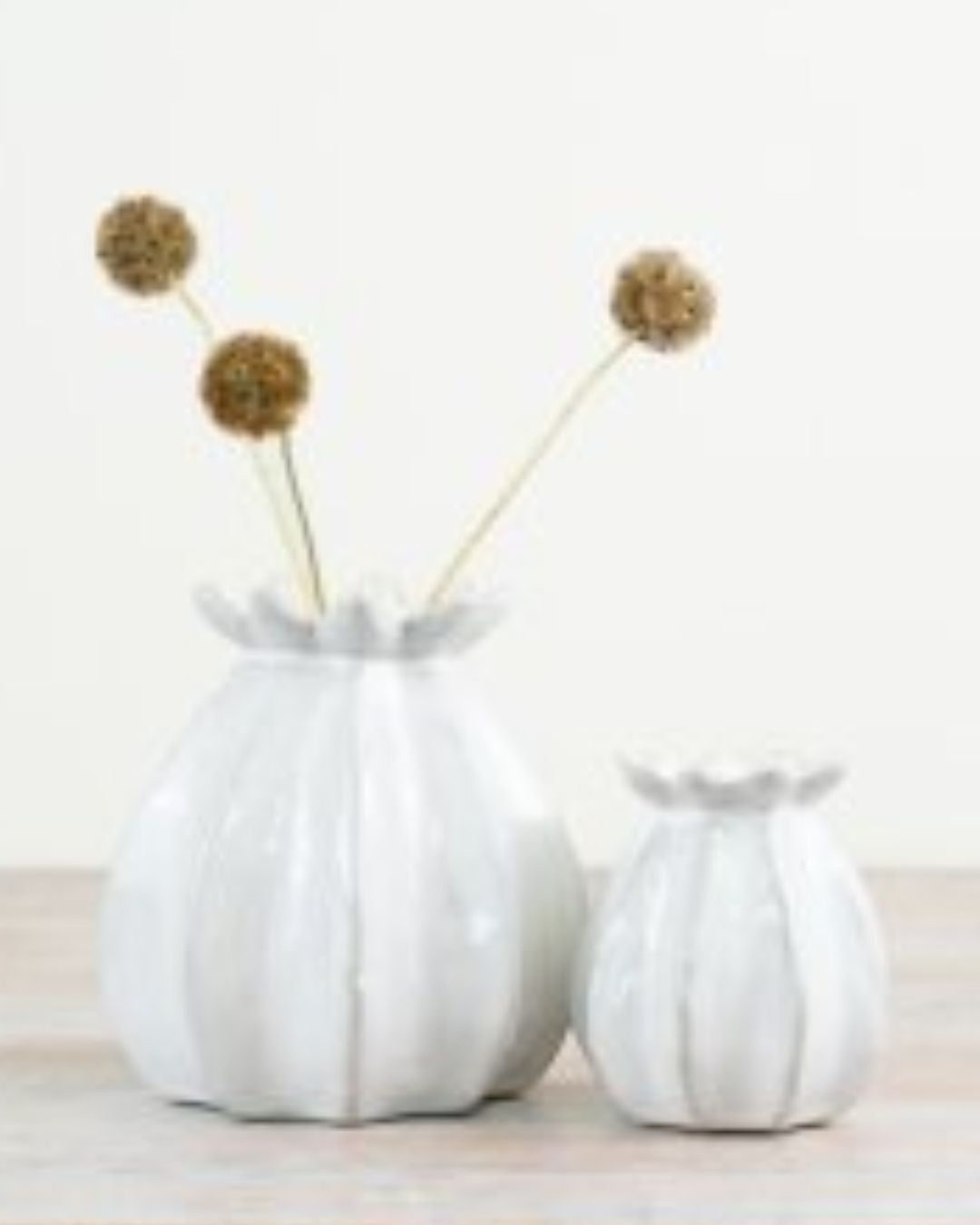 White Poppy Seed Bud Vase