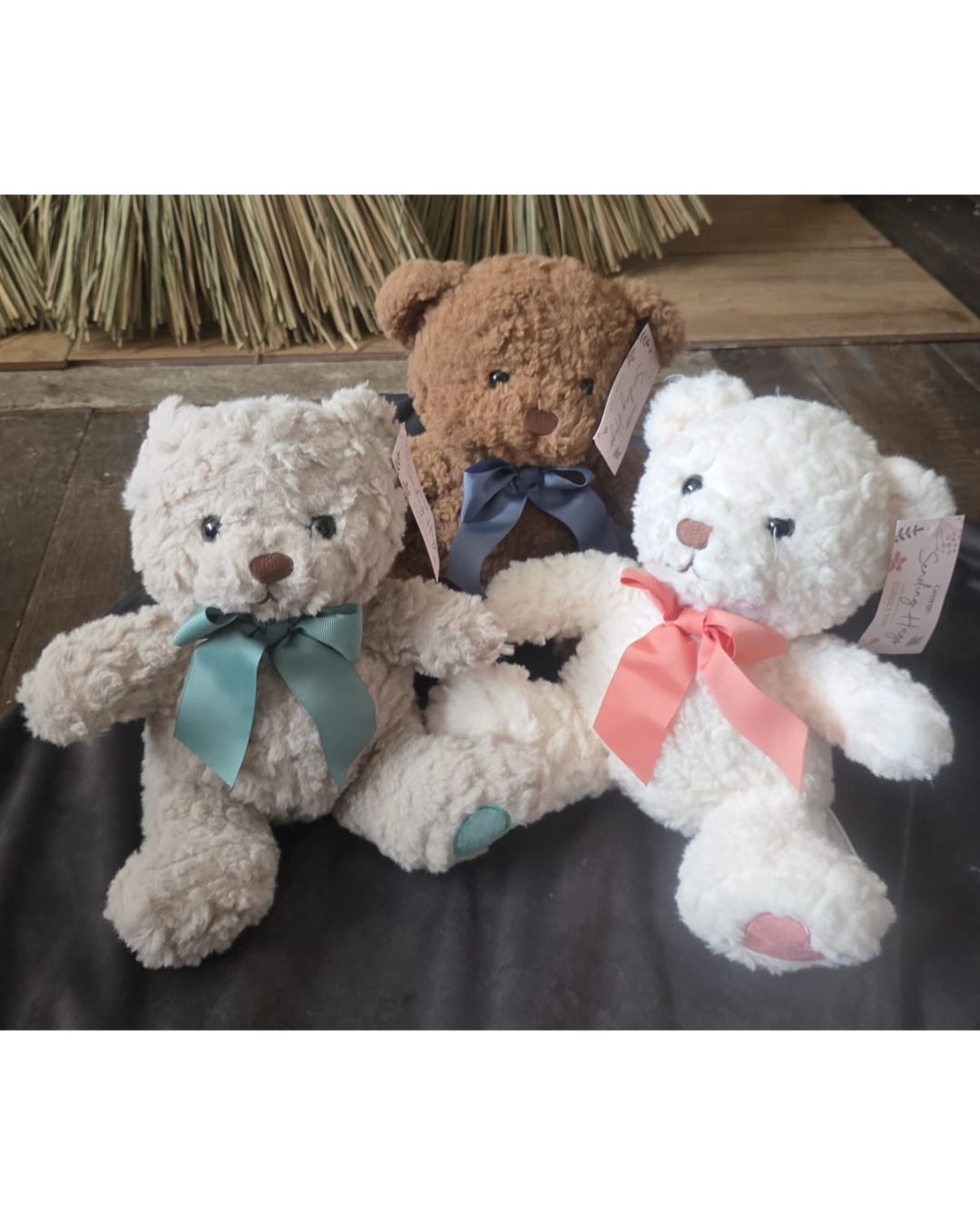Super Soft Teddies